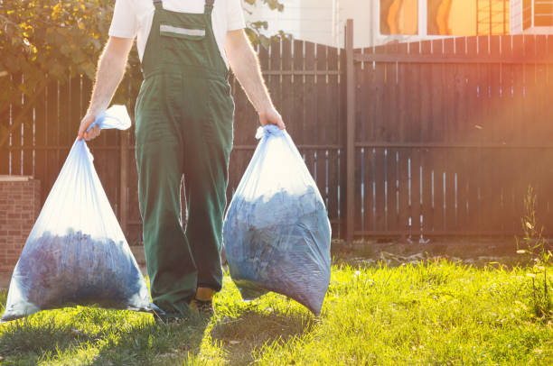Best Dumpster Rental Services  in Big Bear Lake, CA